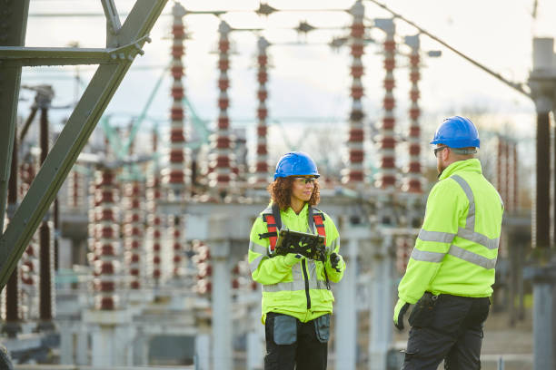 Best Electric Panel Repair  in Egypt Lake Leto, FL