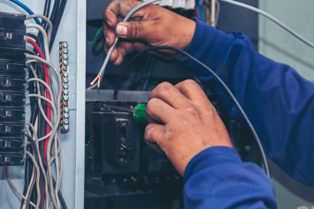 Best Licensed Electrician  in Egypt Lake Leto, FL